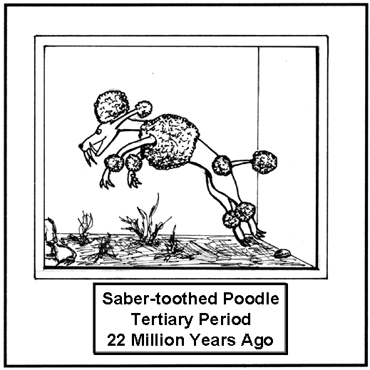 Saber-toothed poodle
