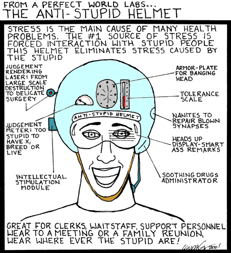 Anti-stupid helmet