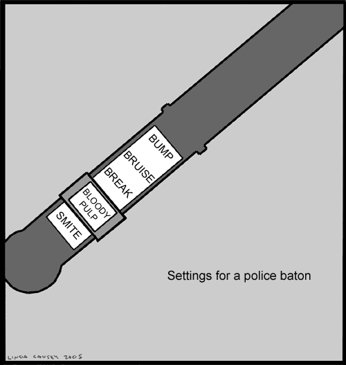 Police baton settings