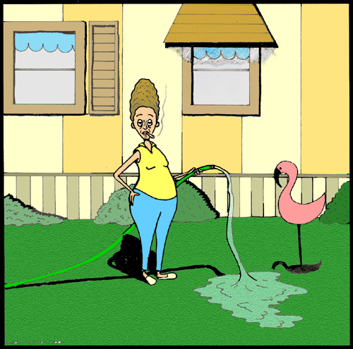 A lady watering her lawn