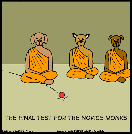 Final test for novice dog monks