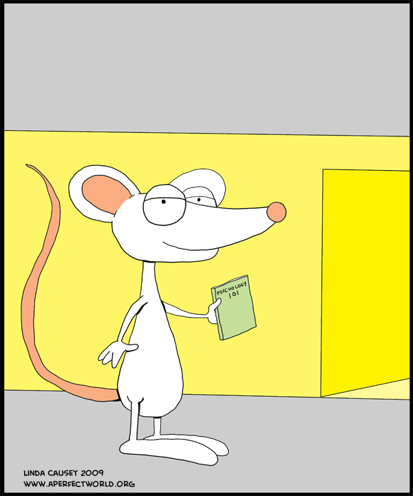 A rat that studied Psychology 101