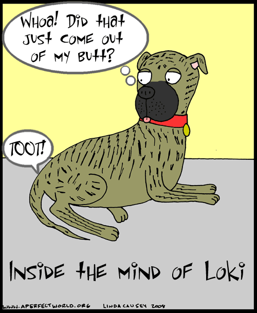 Inside the mind of Loki, the wonder dog