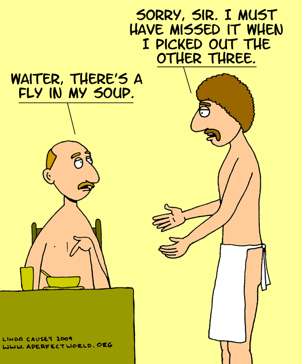 Waiter, there's a fly in my soup! Sorry sir, I must have missed it when I picked out the other three