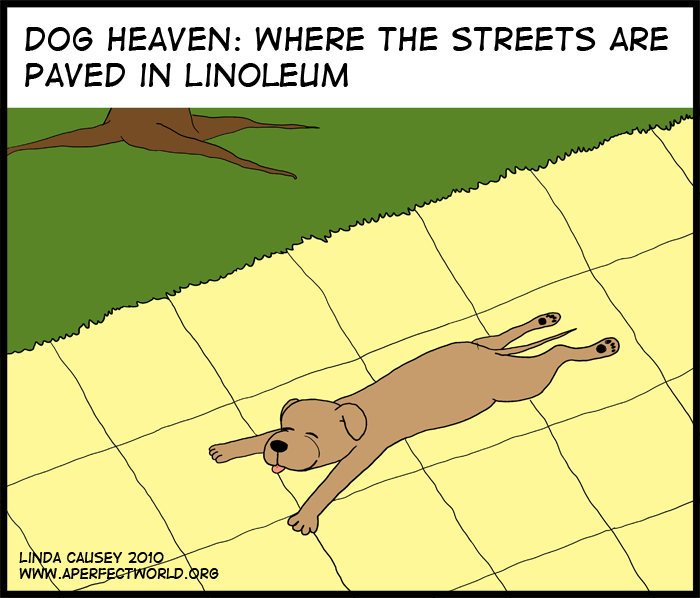 Dog heaven - where the streets are paved in linoleum