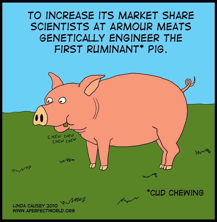Armour Meats increases market share via genetic engineering