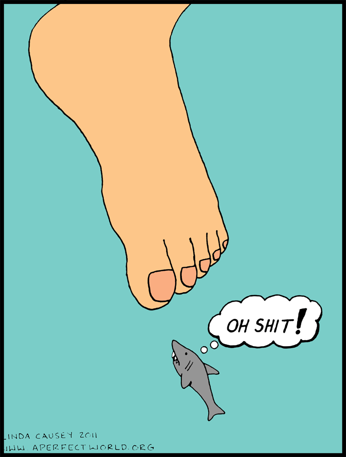 Shark has a scale problem