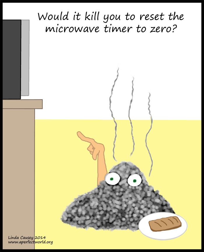 Would it kill you to reset the microwave timer?
