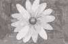 flower01.png (20597 bytes)
