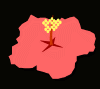 flower26.gif (6605 bytes)