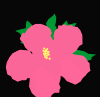 flower27.GIF (7896 bytes)