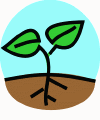 plant08.gif (10698 bytes)