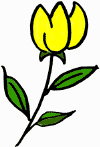 tulip.png (10440 bytes)