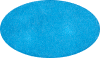 blueoval.png (112532 bytes)